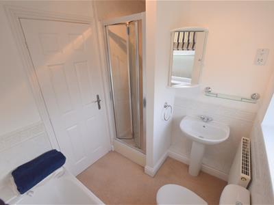 Picture 20